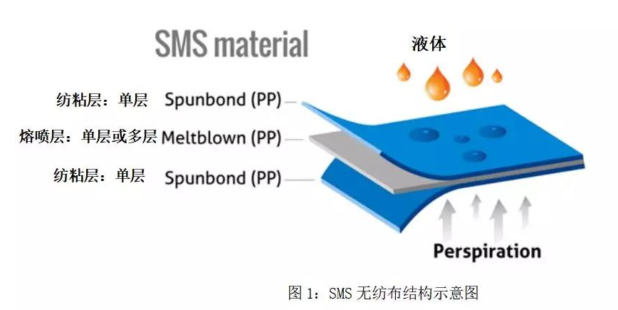 16256279003755445Ntv.png 1.png